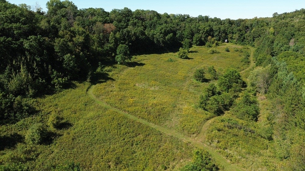 S828 Julson Ridge Road Independence, WI 54747 - Photo 20 of 35 Gallery Image 20