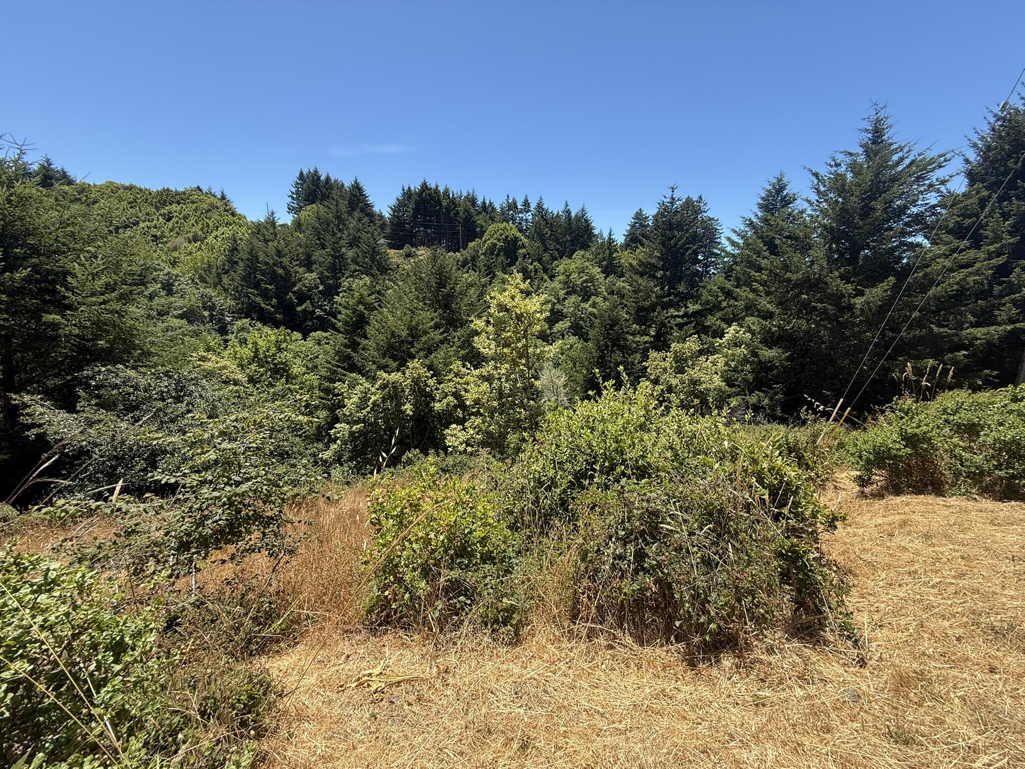 60 Spring Road Shelter Cove, CA 95589 - Photo 4 of 8 IMG_2369