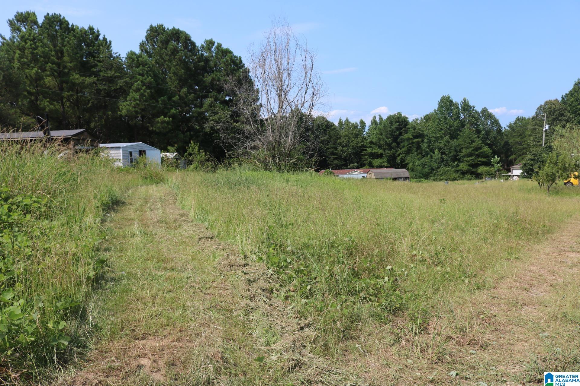 1920 Bruce Shaw Road Adger, AL 35006 - Photo 7 of 15