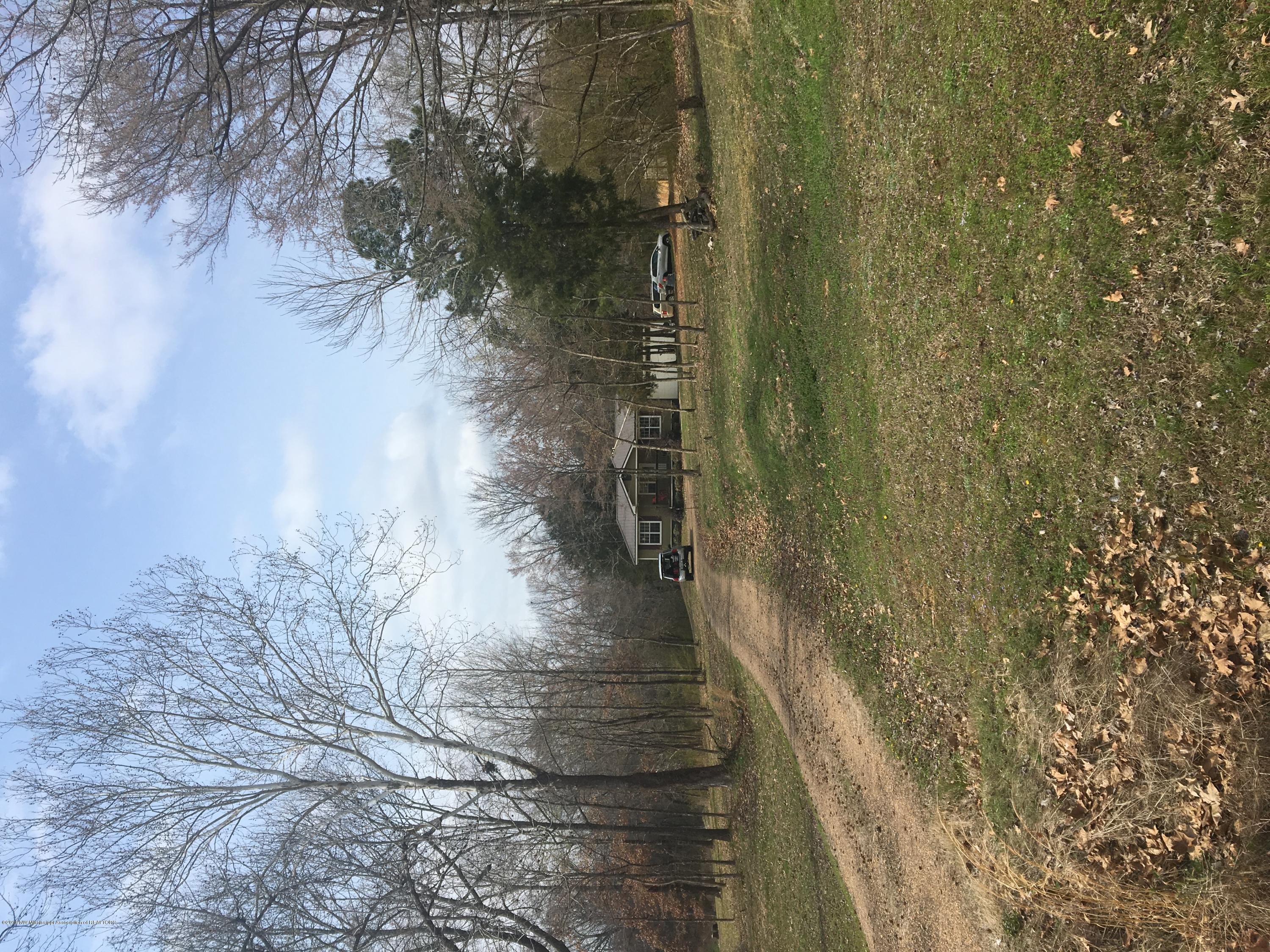 3037 Sycamore Road Coldwater, MS 38618 - Photo 3 of 8 Stringer3