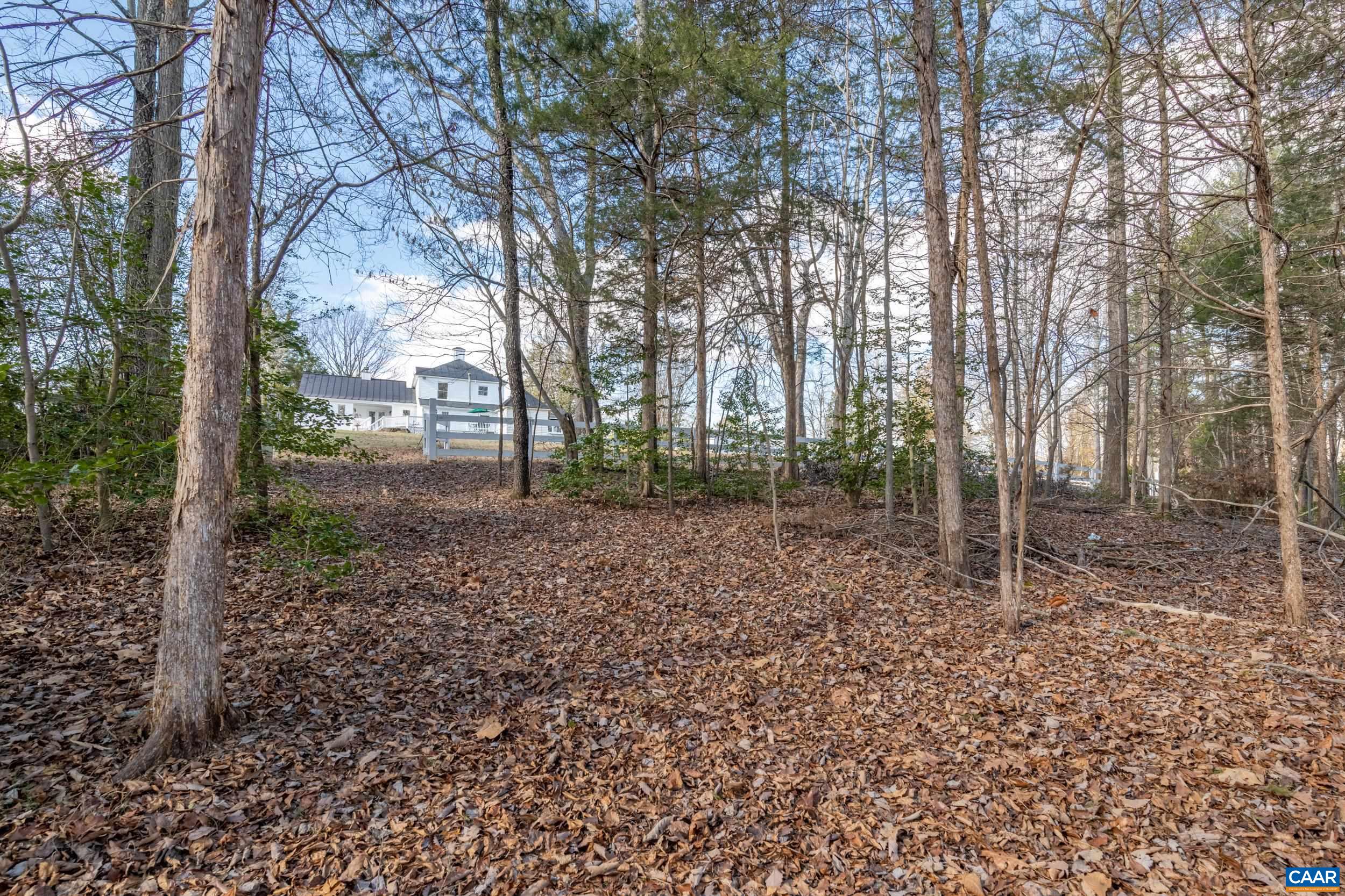 6883 Porters Road Esmont, VA 22937 - Photo 54 of 67