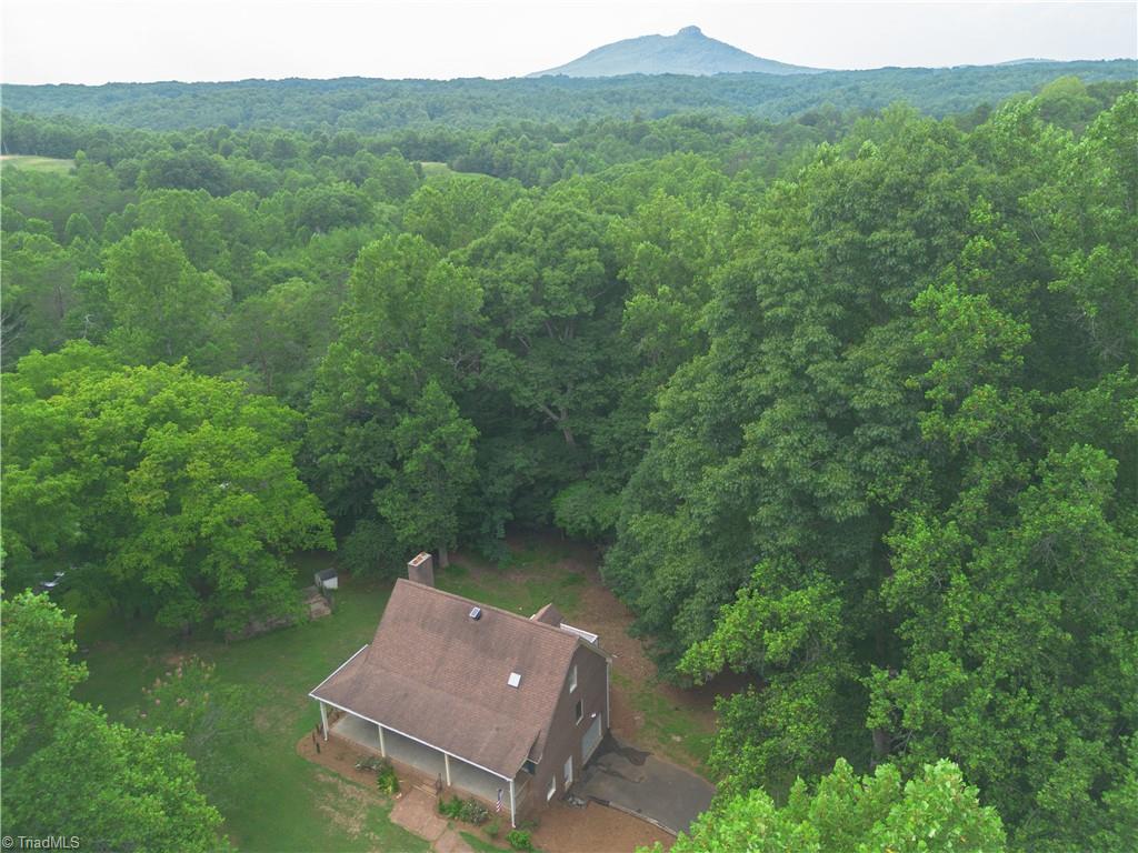1602 Trinity Church Road Pinnacle, NC 27043 - Photo 6 of 50