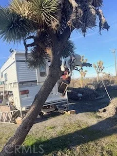 0 Madera Road Pinon Hills, CA 92372 - Photo 7 of 8 a view of a backyard of a house