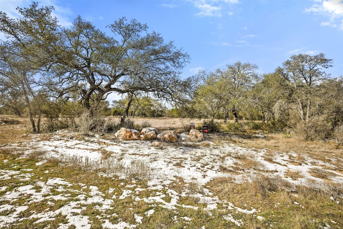 145 Red Hawk Drive Marble Falls, TX 78654 - Photo 13 of 30 a view of a yard with a tree