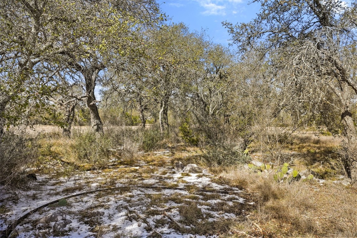 145 Red Hawk Drive Marble Falls, TX 78654 - Photo 16 of 30 a view of a yard