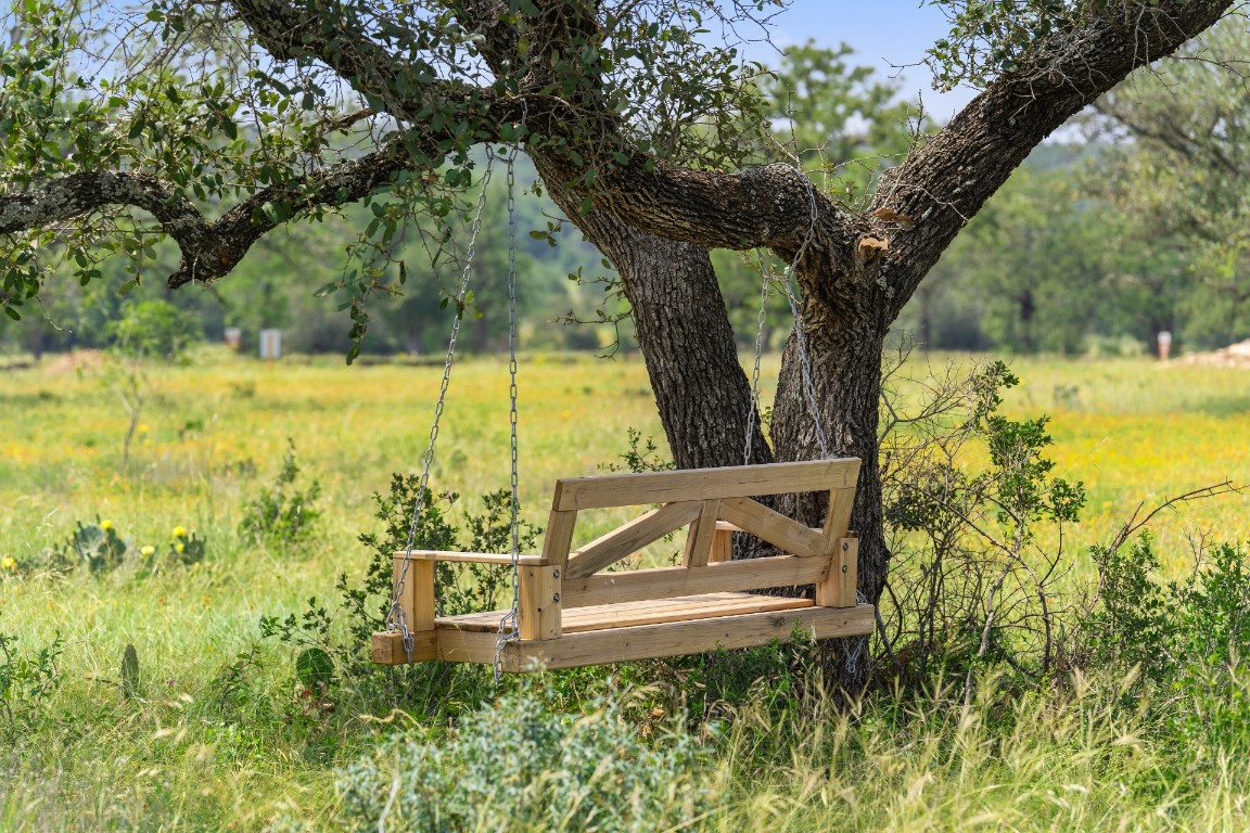 145 Red Hawk Drive Marble Falls, TX 78654 - Photo 29 of 30 a view of a yard with plants and large trees
