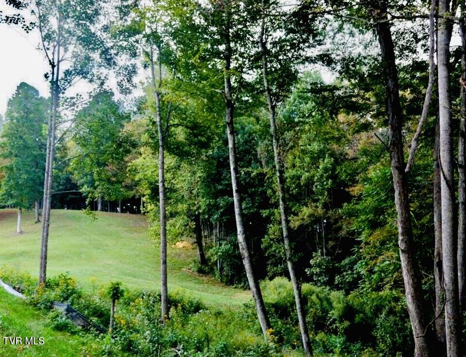 Lot 37 Draft Road, Unit 37 Butler, TN 37640 - Photo 5 of 23 IMG_2300