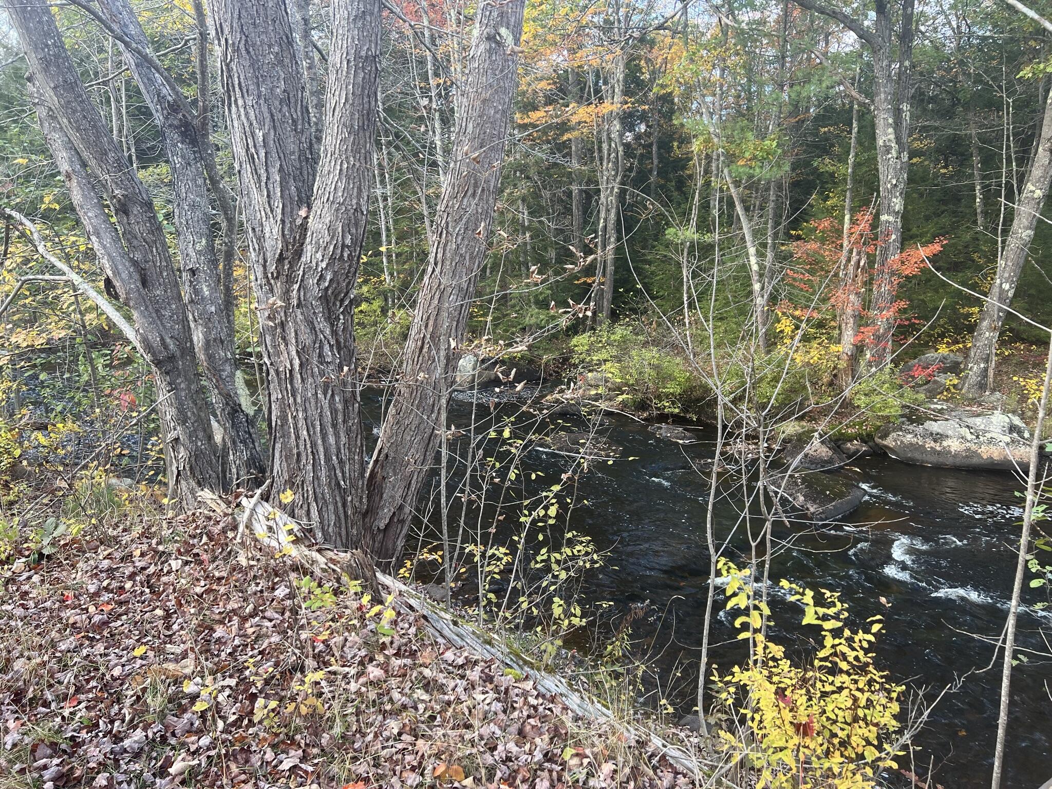 Tbd Lot Norway Road Waterford, ME 04088 - Photo 12 of 21 5CCCE7F4-4562-4E2D-9E1C-74CD30904424