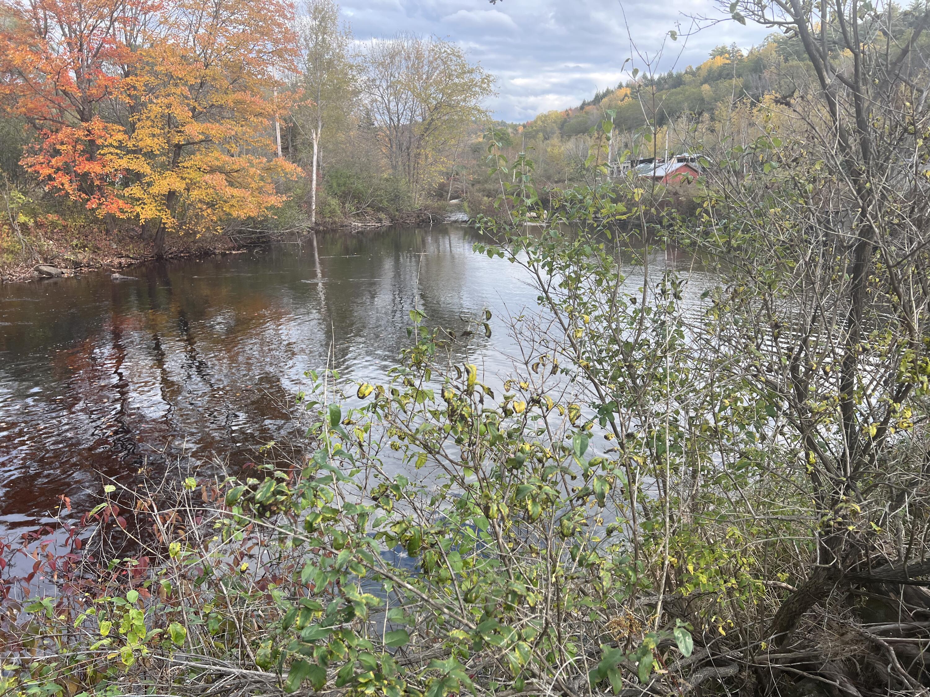 Tbd Lot Norway Road Waterford, ME 04088 - Photo 15 of 21 Large Area of Water