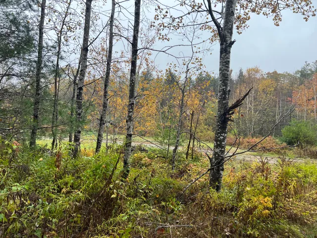 $143,000 | Tbd Lot Norway Road, Waterford, ME 04088