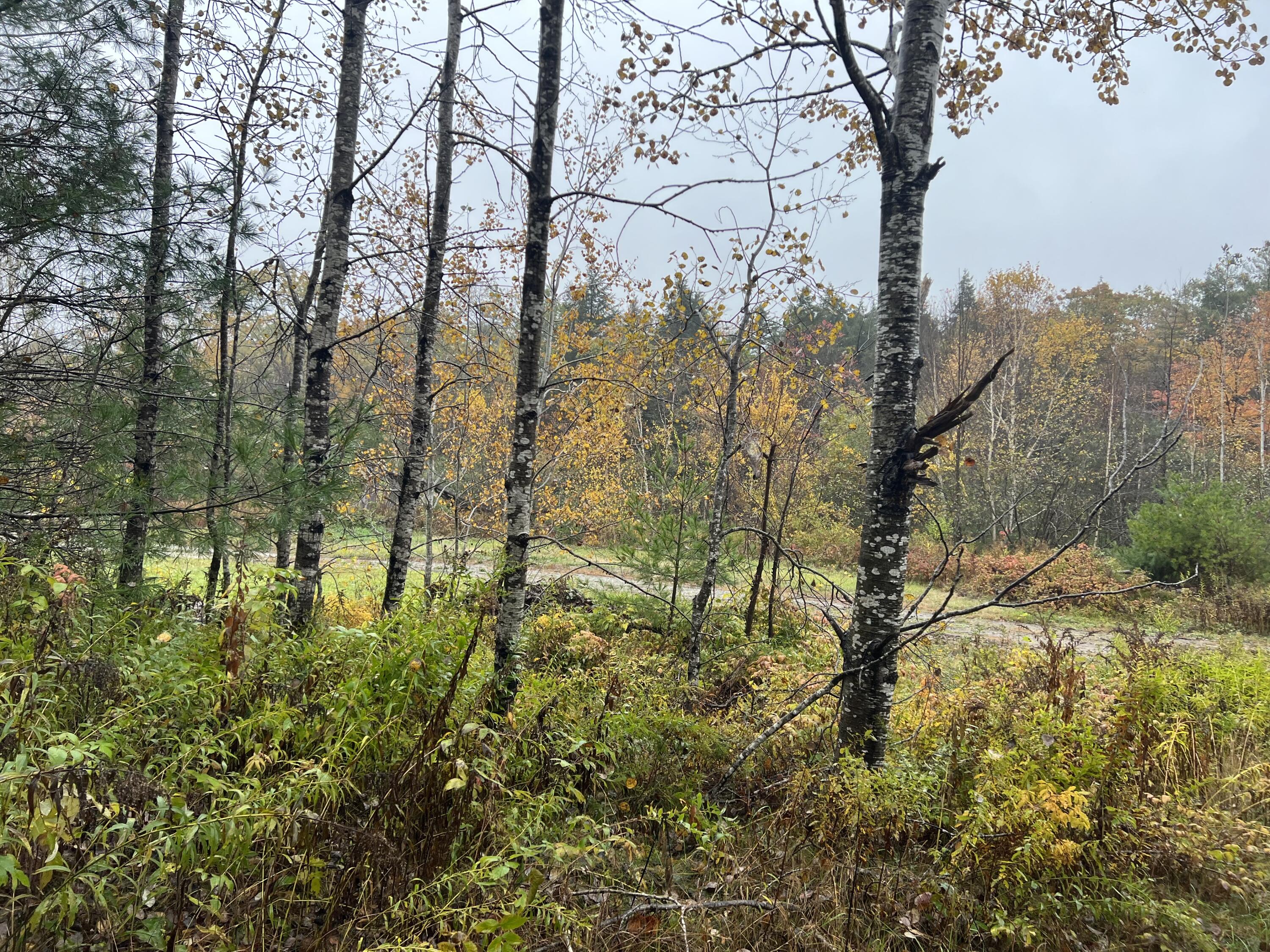 Tbd Lot Norway Road Waterford, ME 04088 - Photo 8 of 21 D8ADEB10-C0FB-4C03-AC82-FAA3F25DA4F9