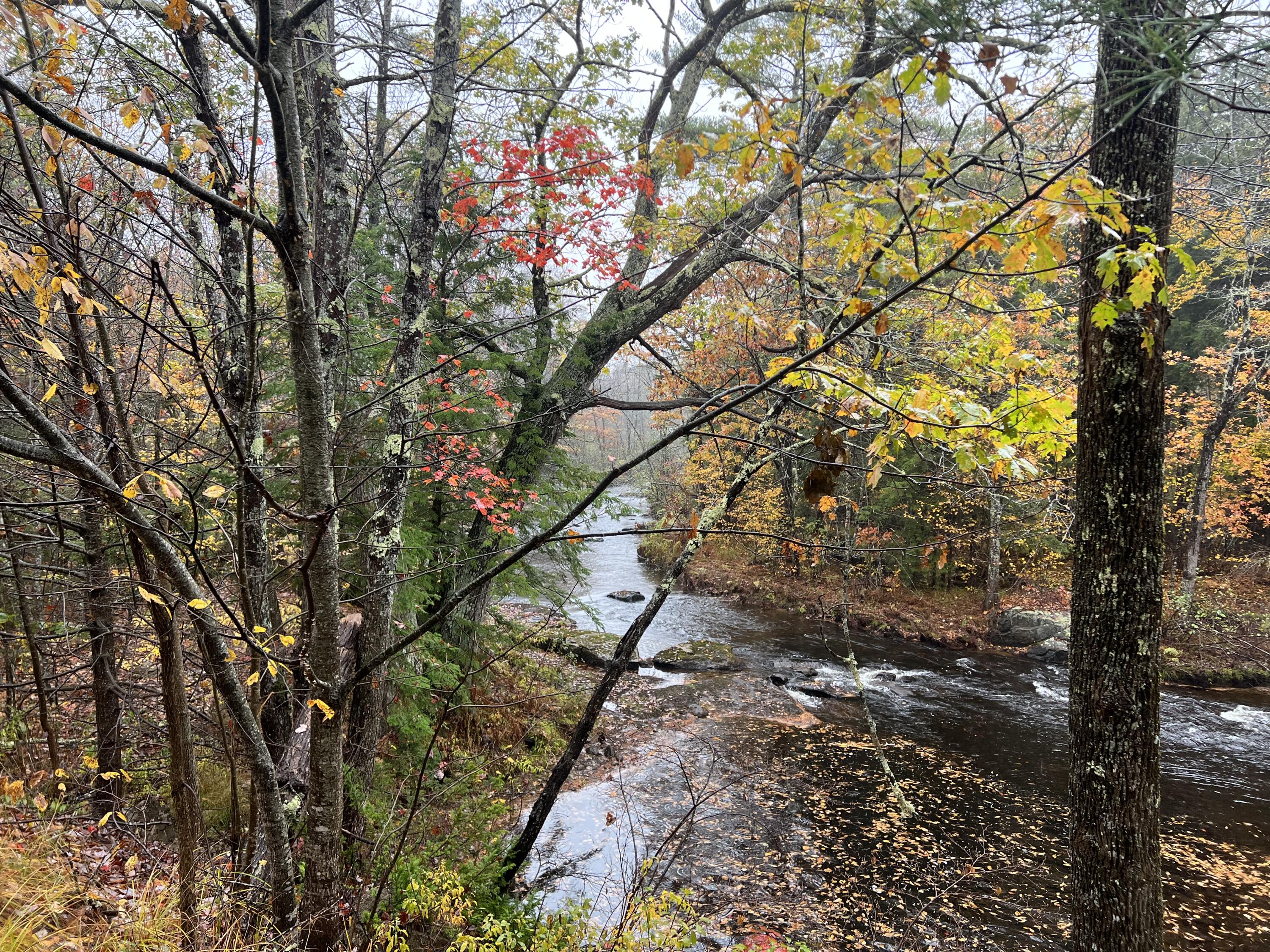Tbd Lot Norway Road Waterford, ME 04088 - Photo 10 of 21 The Rush of the Water