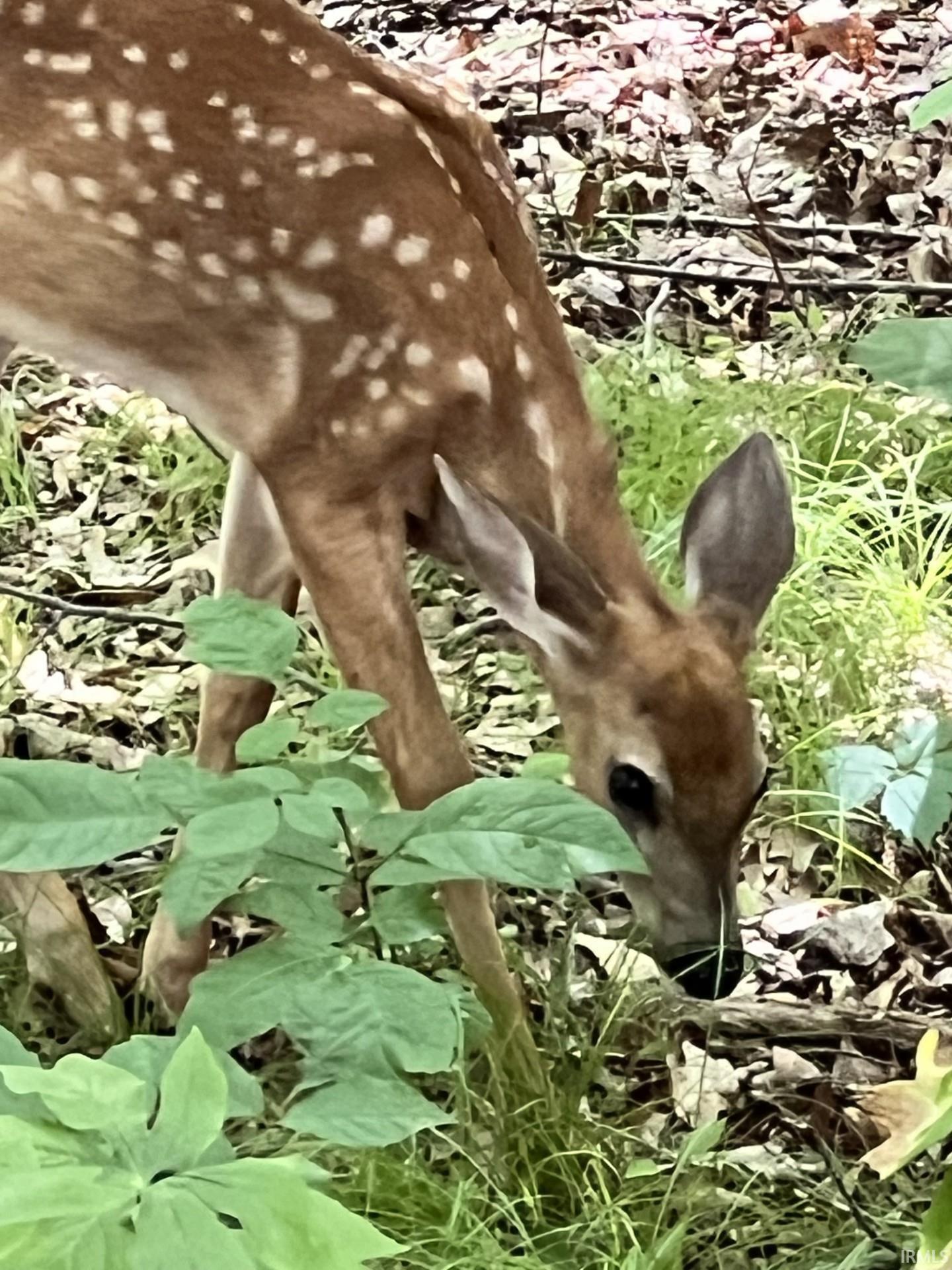 80 Valley Gorge Pass Angola, IN 46703 - Photo 34 of 34
