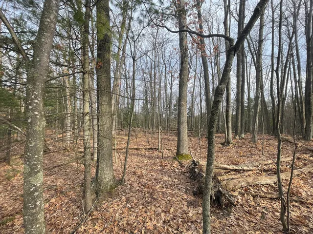 $134,900 | 7780 North Harrison Avenue, Harrison, MI 48625