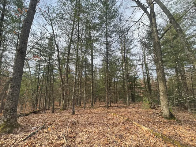 $134,900 | 7780 North Harrison Avenue, Harrison, MI 48625