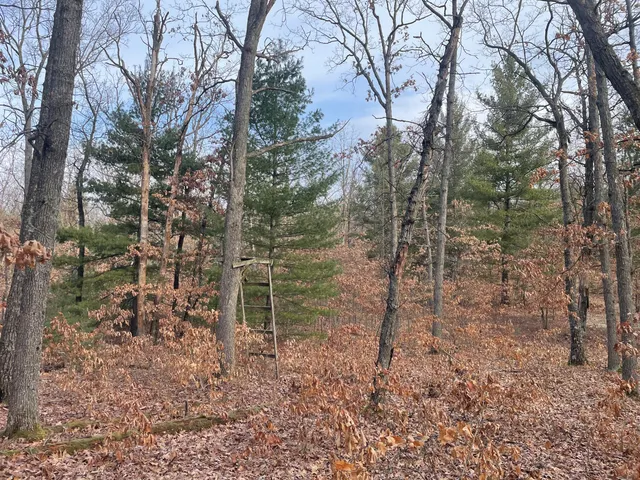 $134,900 | 7780 North Harrison Avenue, Harrison, MI 48625