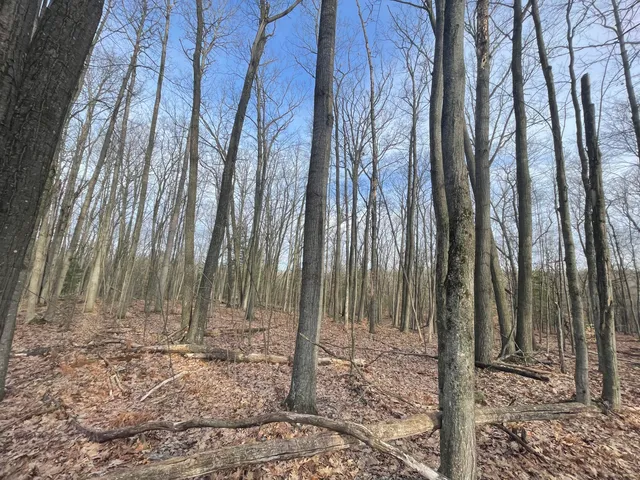 $134,900 | 7780 North Harrison Avenue, Harrison, MI 48625