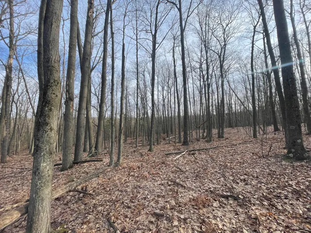 $134,900 | 7780 North Harrison Avenue, Harrison, MI 48625