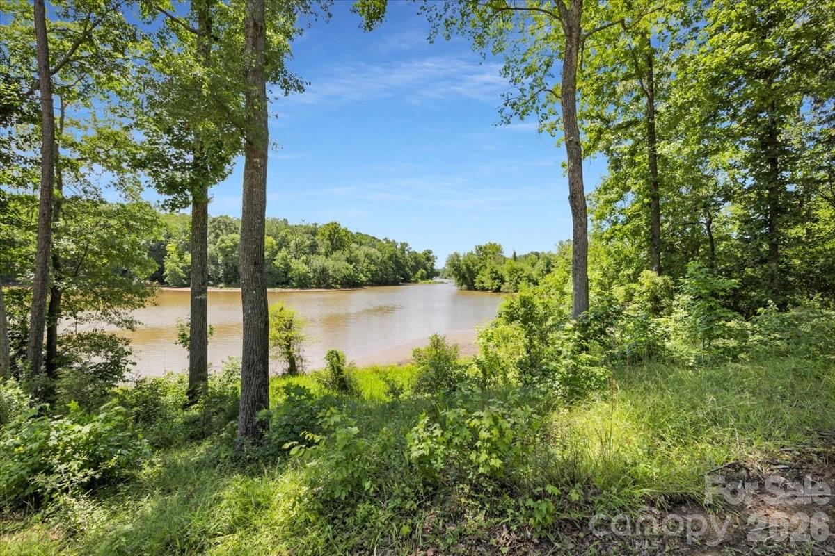 1194 99 Island Road Blacksburg, SC 29702 - Photo 40 of 47 a view of a lake from a yard