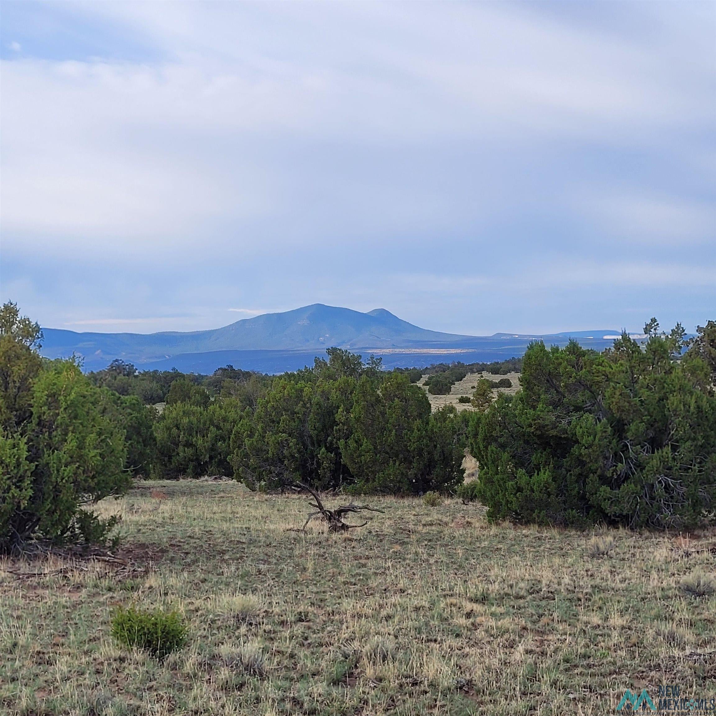 Xx Xx Indian Road Quemado, NM 87829 - Photo 1 of 11 Gallery Image 1