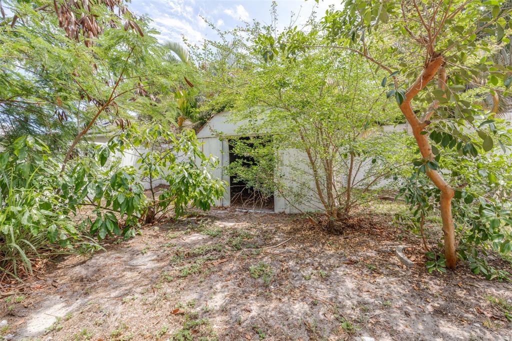 2538 Countryside Pines Drive Clearwater, FL 33761 - Photo 47 of 61 a view of a yard with plants and trees