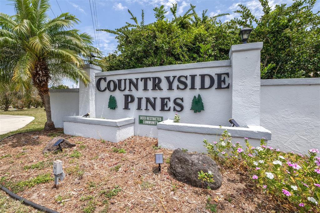2538 Countryside Pines Drive Clearwater, FL 33761 - Photo 48 of 61 a front view of a house with garden