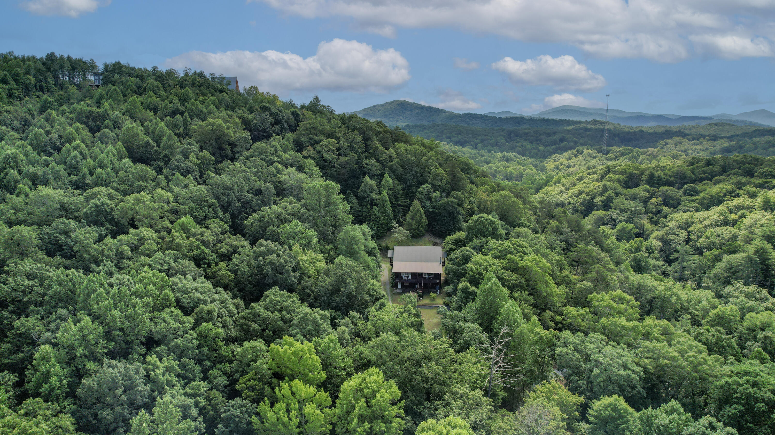 186 Caney Creek Road Reliance, TN 37369 - Photo 8 of 89 8-DJI_0008-Edit
