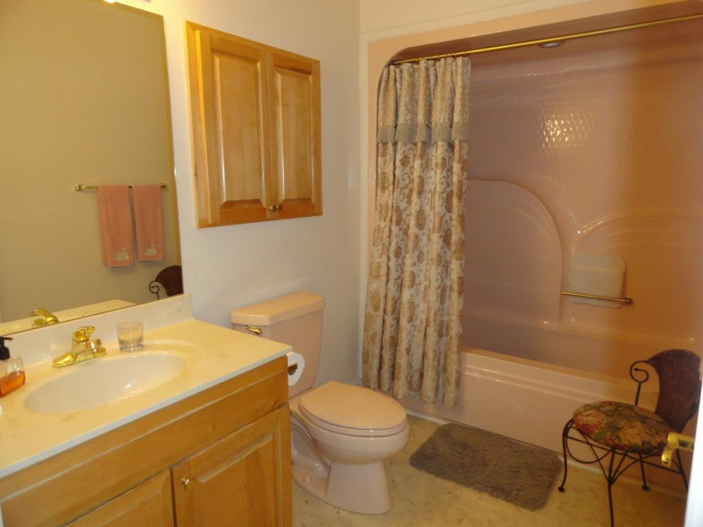 481 Hales Chapel Road Gray, TN 37615 - Photo 16 of 31 Guest Room Bathroom