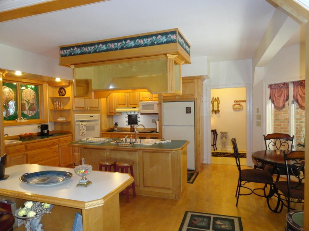 481 Hales Chapel Road Gray, TN 37615 - Photo 6 of 31 Bright Spacious Kitchen
