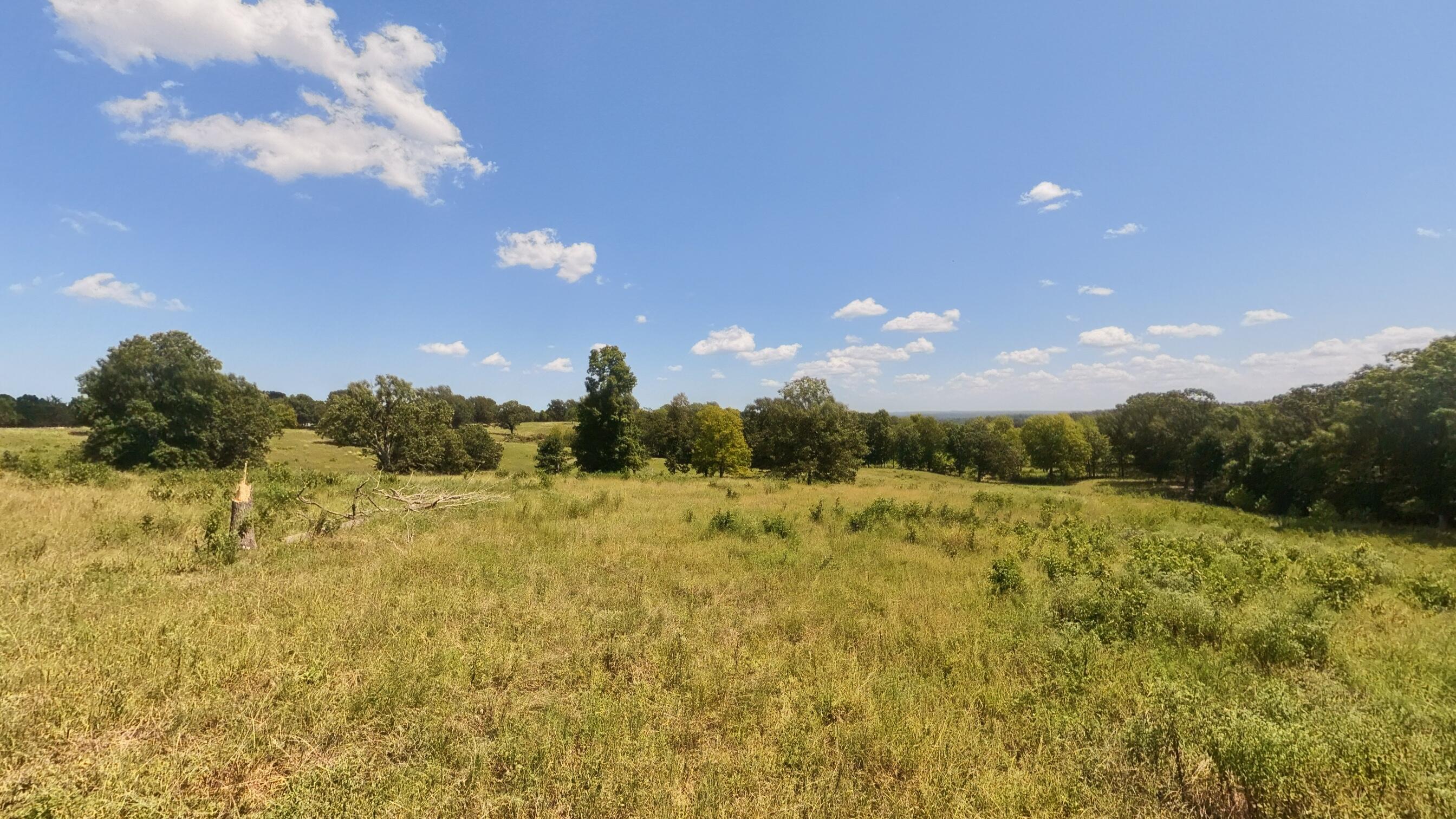 0 Bamber Street Mammoth Spring, AR 72554 - Photo 15 of 39 32+_- Acres013