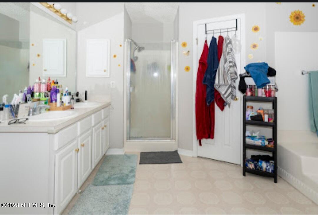 2504 Mallory Hills Road Jacksonville, FL 32221 - Photo 16 of 30 a bathroom with a sink a mirror and a shower