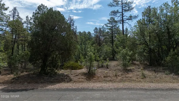 $79,900 | Undisclosed Address, Lakeside, AZ 85929