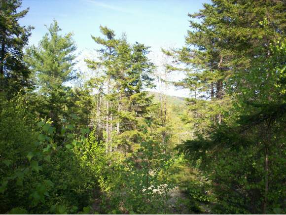 5 Giovanni Road Hebron, NH 03241 - Photo 1 of 1