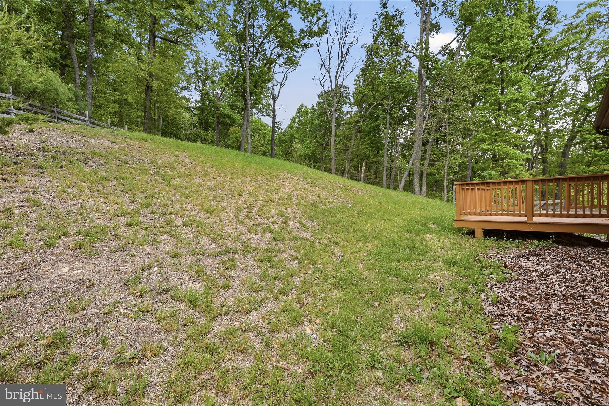 142 Spring Hollow Road Front Royal, VA 22630 - Photo 42 of 46 Backyard