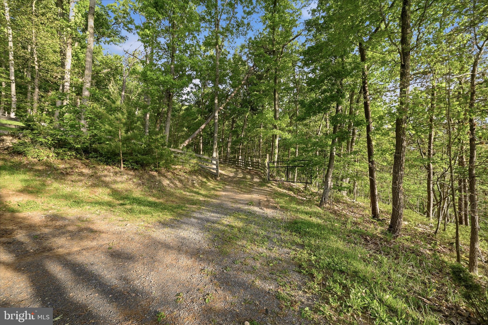 142 Spring Hollow Road Front Royal, VA 22630 - Photo 45 of 46 Driveway
