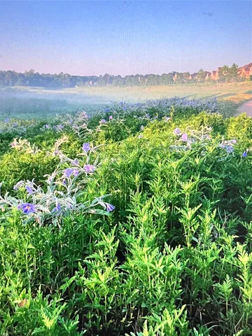 $3,300 | 107 West Spindle Tree Circle, The Woodlands, TX 77382