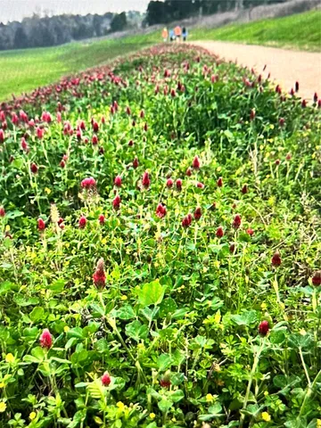 $3,300 | 107 West Spindle Tree Circle, The Woodlands, TX 77382