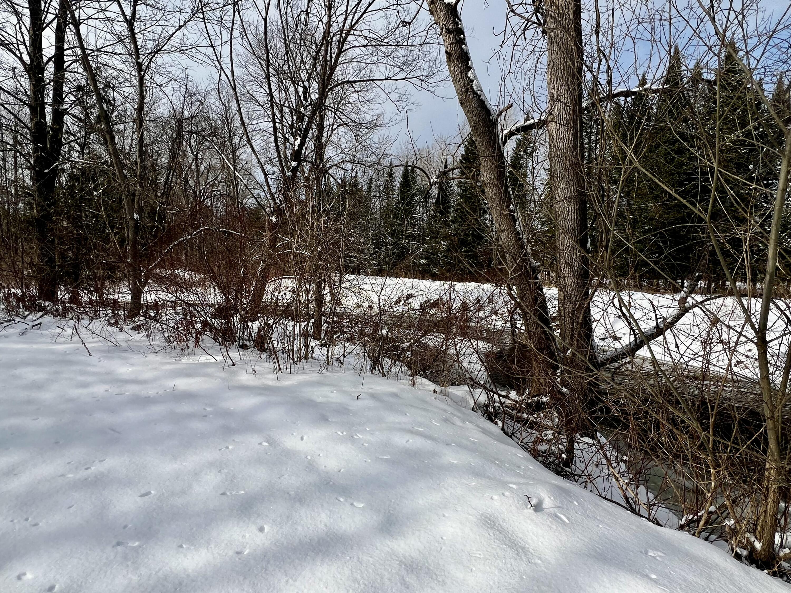 15 Miner Road Plattsburgh, NY 12901 - Photo 18 of 23 Gallery Image 18