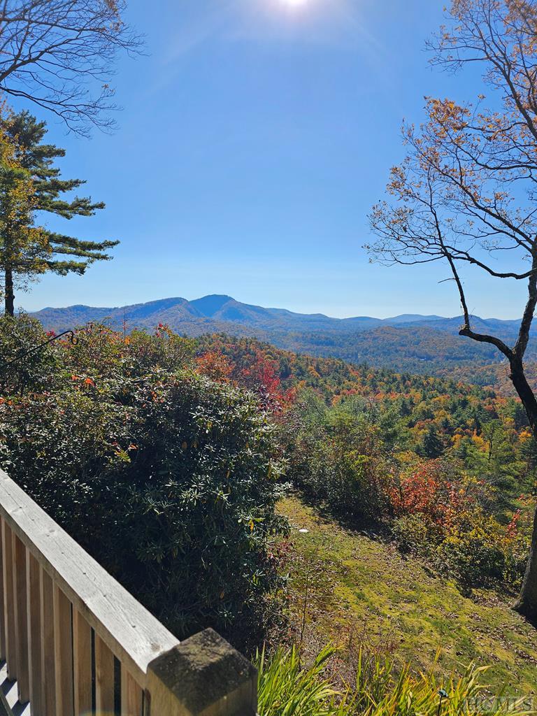 125 Rambouillet Road Cashiers, NC 28717 - Photo 46 of 49 Gallery Image 46