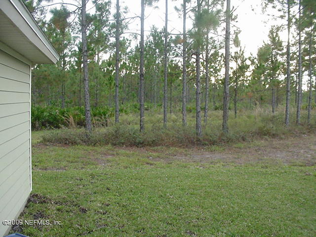 3715 Chasing Falls Road Orange Park, FL 32065 - Photo 29 of 33 Rear view from home