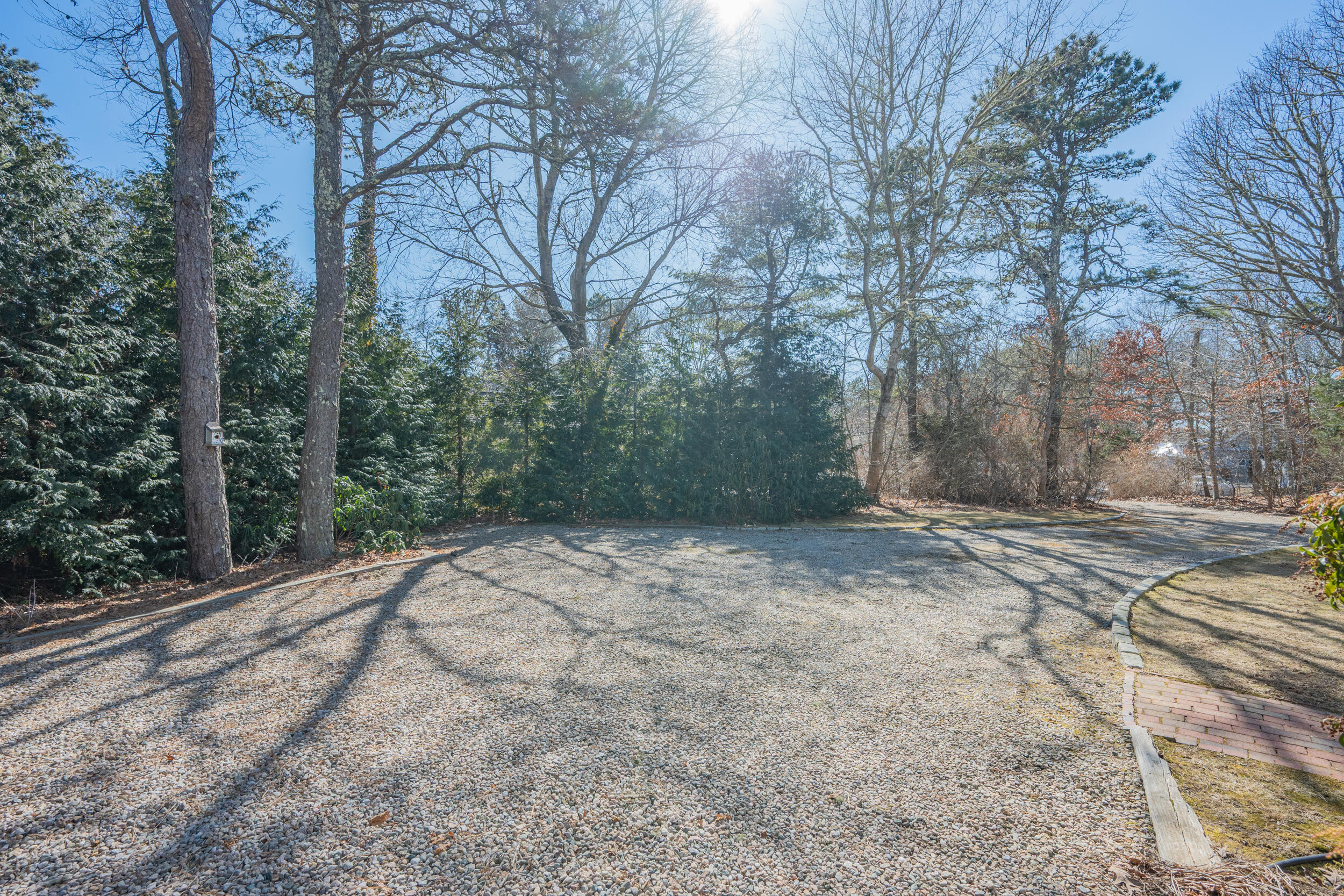 4 Ralyn Road Cotuit, MA 02635 - Photo 34 of 53 a view of a yard with trees