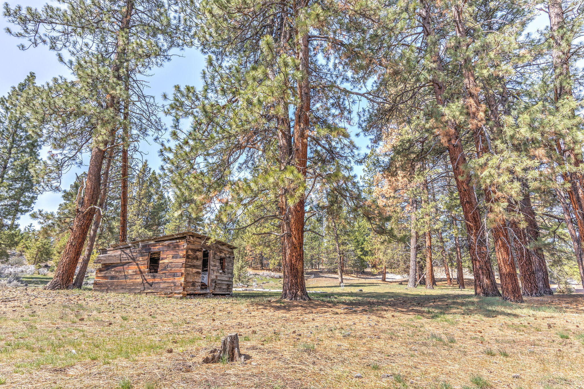 20850 Campbell Road Bly, OR 97622 - Photo 66 of 137 090A5903_4_5_6_7