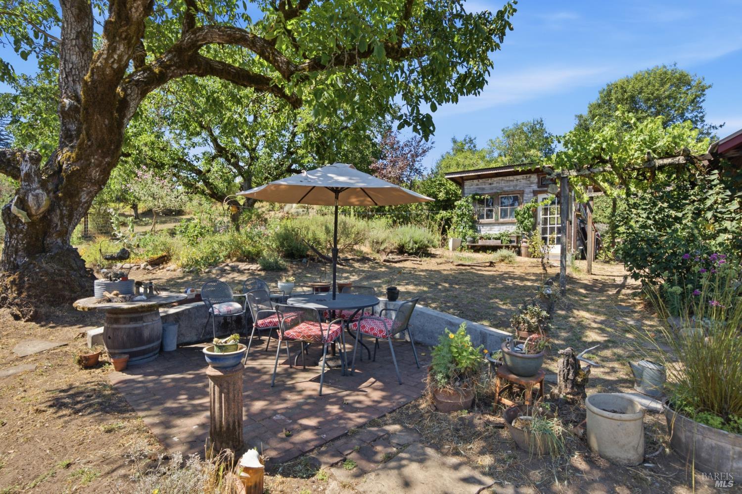 8650 Savio Road Sebastopol, CA 95472 - Photo 31 of 52 Gallery Image 31