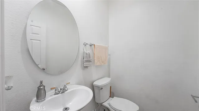 a view of a bench in the backyard with large trees