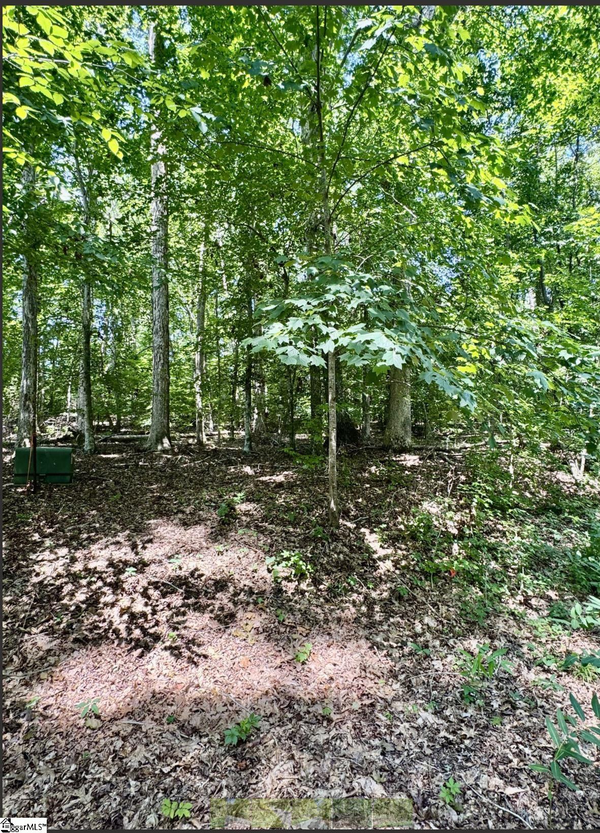 Lot B Adair Place Laurens, SC 29360 - Photo 2 of 5