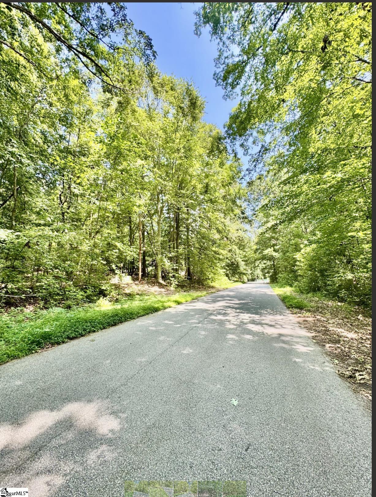 Lot B Adair Place Laurens, SC 29360 - Photo 4 of 5