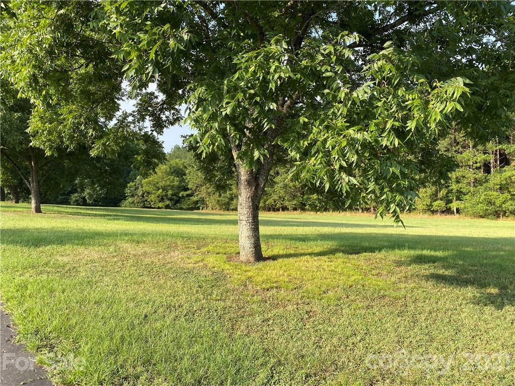 1565 Springlake Road York, SC 29745 - Photo 15 of 18 a view of a yard with a tree
