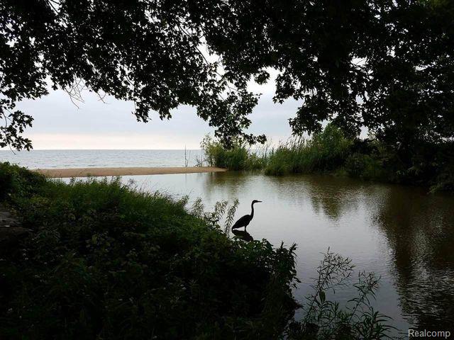 5434 Lakeshore Road Deckerville, MI 48427 - Photo 74 of 77 Gallery Image 74