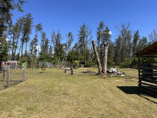 164 West 10 Mile Rd. Irons, MI 49644 - Photo 38 of 46 IMG_7749