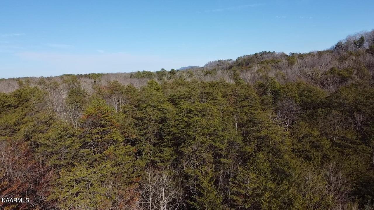 0 Citico Road Vonore, TN 37885 - Photo 16 of 17